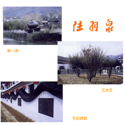 杭州陸羽泉文化主題公園天氣