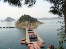 杭州鳥島天氣