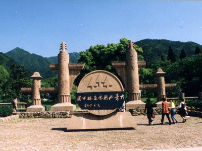 杭州大奇山國家森林公園天氣