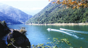 臨安柳溪江天氣