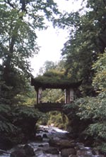 臨安天目山天氣