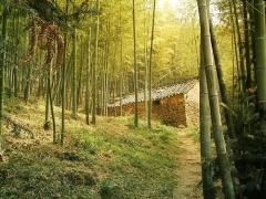 慈溪栲栳山天氣