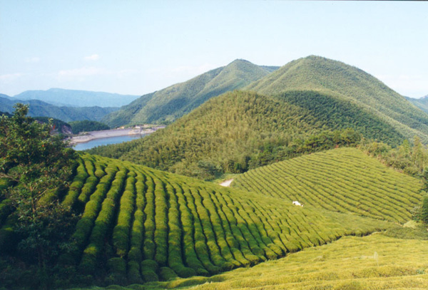 寧波五龍潭天氣