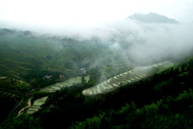 瑞安金雞山天氣