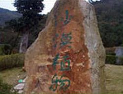 溫州綠色樂園天氣