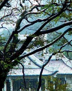 溫州華蓋山天氣