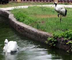 溫州市動物園天氣