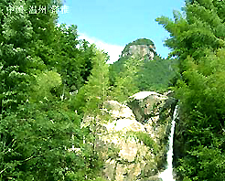 溫州澤雅天氣