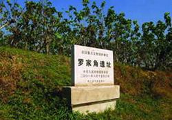桐鄉羅家角遺址天氣
