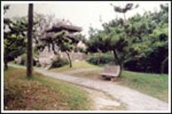 嘉興瓶山公園天氣