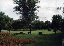 嘉興人民公園天氣