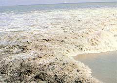 海寧錢江潮天氣