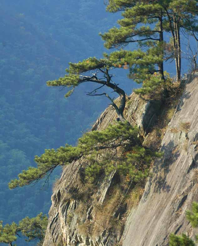 安吉大漢七十二峰天氣
