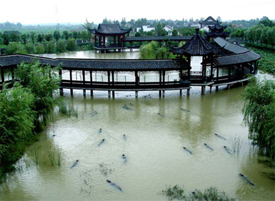 湖州中國揚(yáng)子鱷村天氣