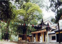 安吉靈峰寺天氣