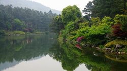 安吉竹種園天氣