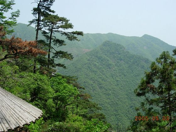 安吉龍王山天氣