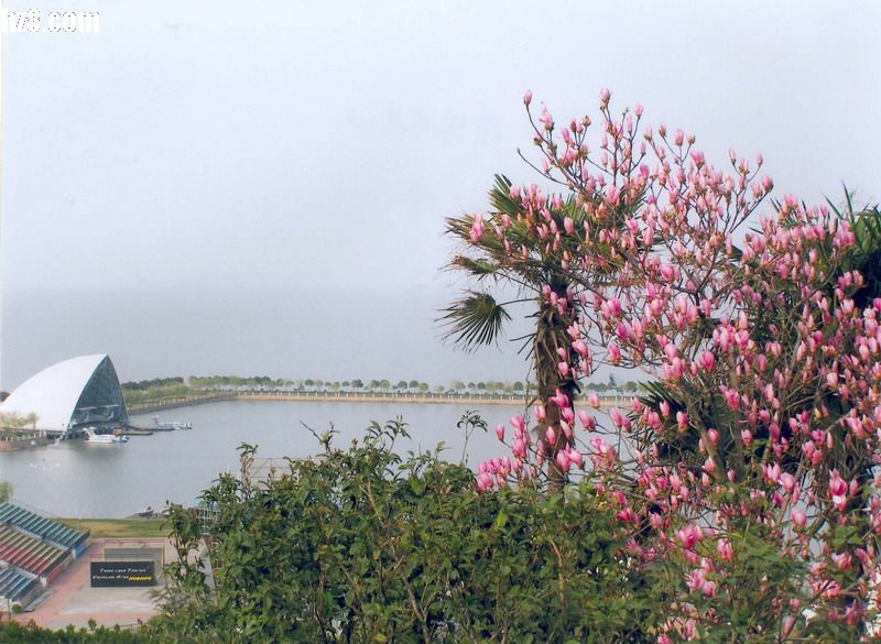 湖州太湖天氣