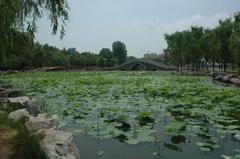 紹興鹿山公園天氣
