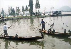 紹興鑒湖天氣
