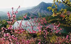 金華桃花源天氣