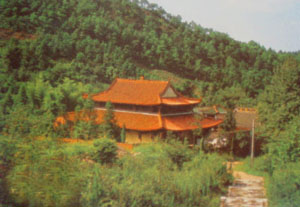 金華龍盤寺天氣
