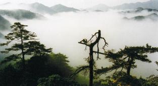 金華小黃山畬族風情村天氣