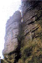 金華山天氣