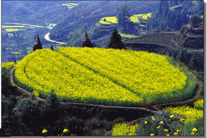 衢州南華山風景區(qū)天氣