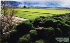 舟山小沙旅游區天氣