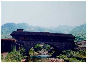 麗水慶元舉水月山村天氣