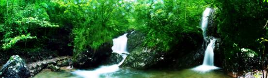 麗水遂昌飛石嶺天氣