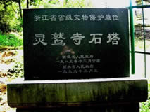 麗水靈鷲寺石塔天氣