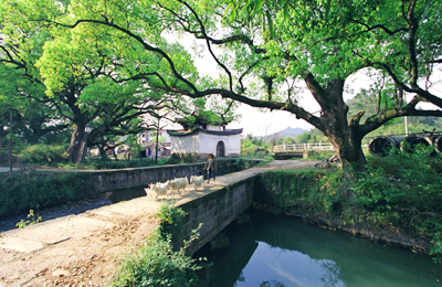 麗水蓮都通濟堰天氣