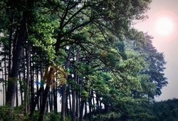 麗水遂昌金礦旅游區(qū)天氣