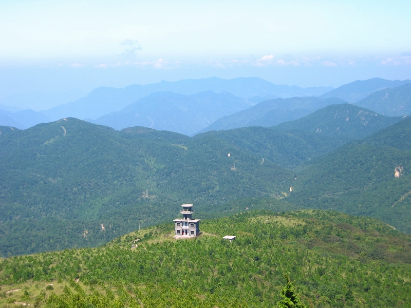 麗水慶元百山祖天氣