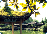 麗水縉云仙都天氣