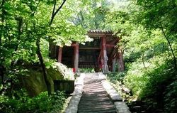 臺州鐵米篩井天氣