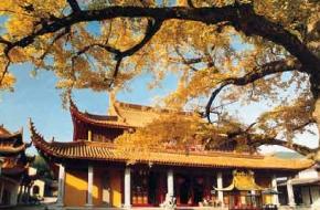 寧波奉化溪口天氣