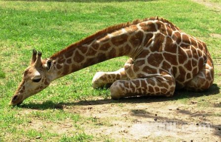 濟南動物園天氣