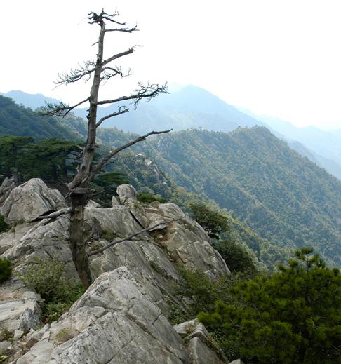 霍山大別山主峰景區天氣