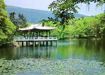南京流徽榭天氣
