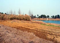 高淳游子山森林公園天氣