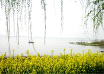 蘇州陽澄湖蓮花島天氣