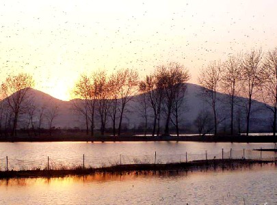 云龍湖天氣