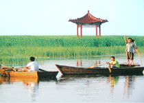 鹽都區大縱湖度假區天氣