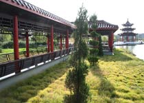 鹽都區華都森林公園天氣