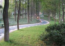 常州蘆墅公園天氣