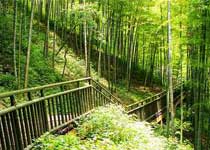 宜興省莊竹海天氣