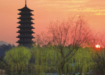 宜興龍背山森林公園天氣